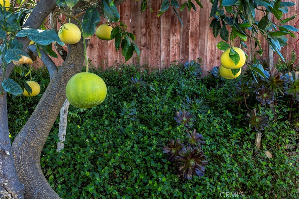 MLS #SW25268810 image #29