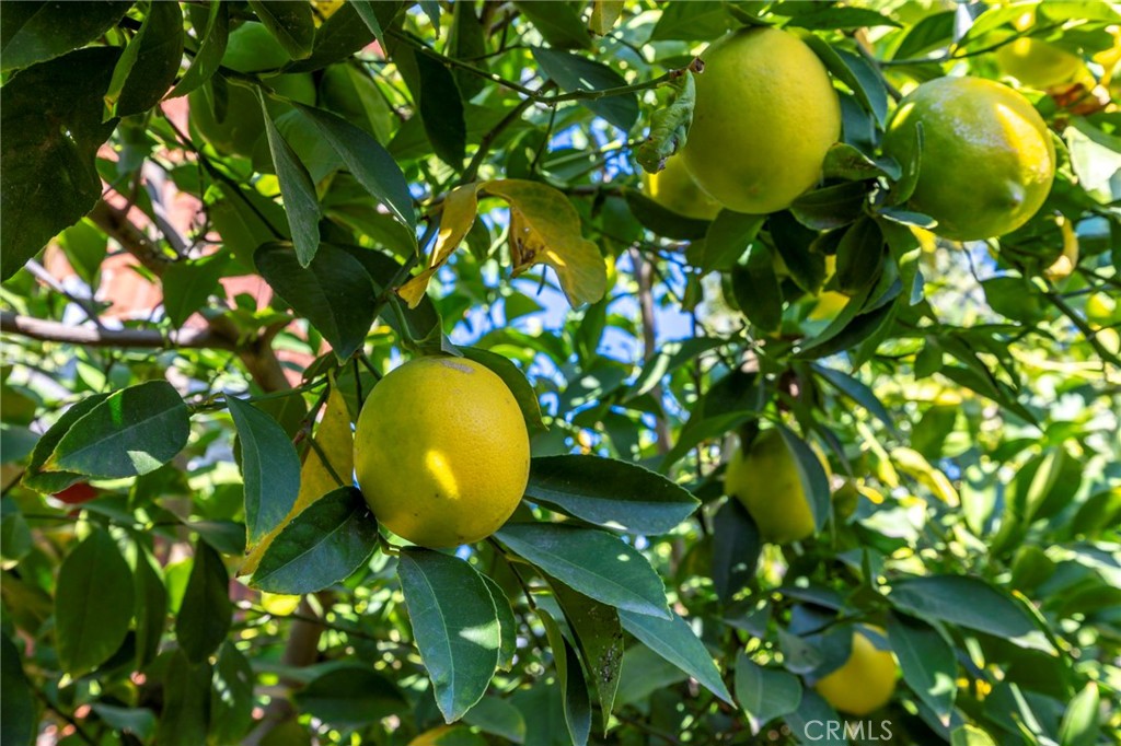 MLS #SW25268810 image #30