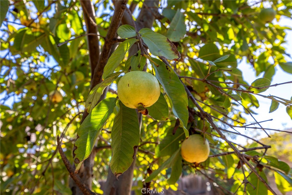 MLS #SW25268810 image #31