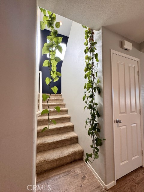 MLS #SW25269868 image #23