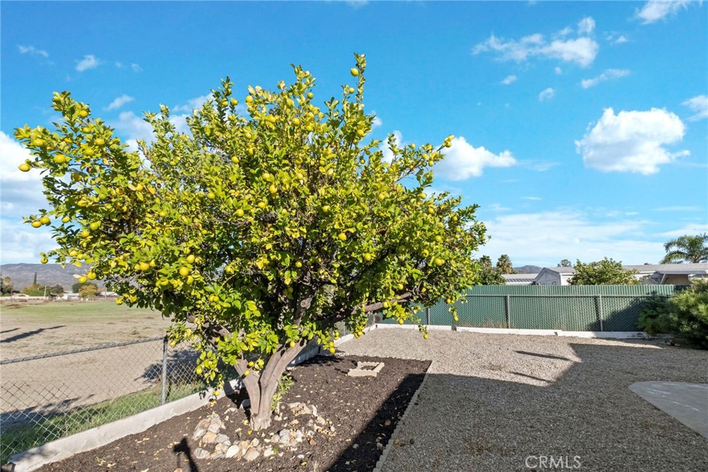 MLS #SW25269917 image #22