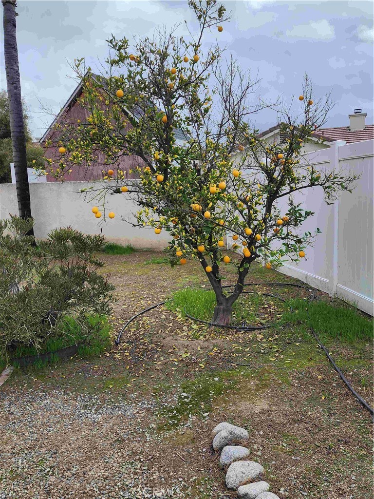 MLS #SW25270061 image #4