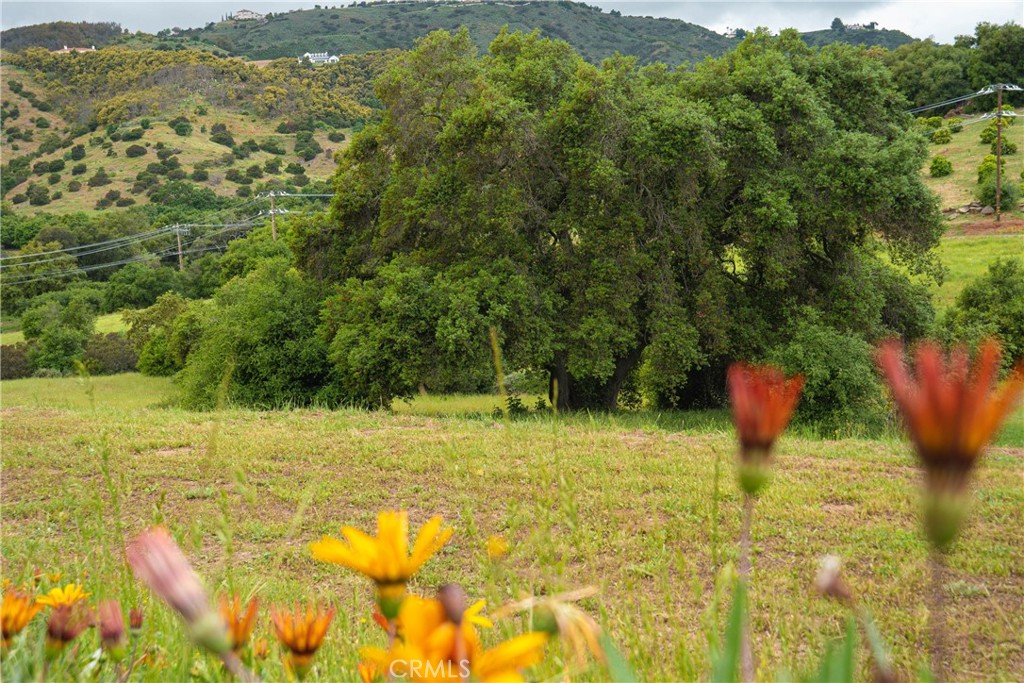 MLS #SW25270594 image #3