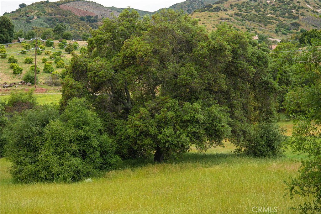 MLS #SW25270594 image #4