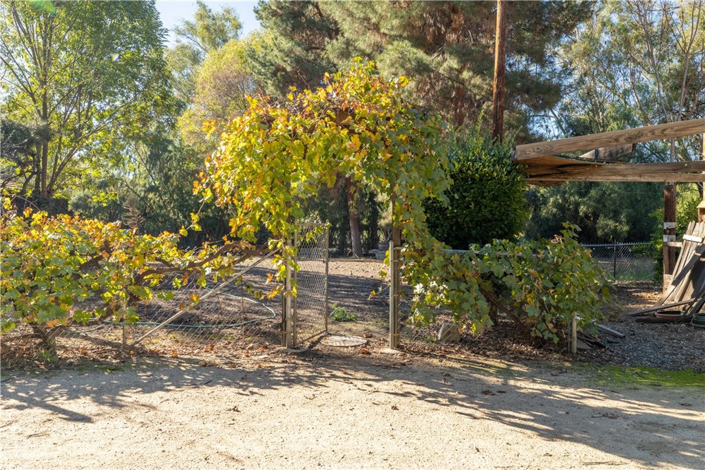 MLS #SW25271108 image #21