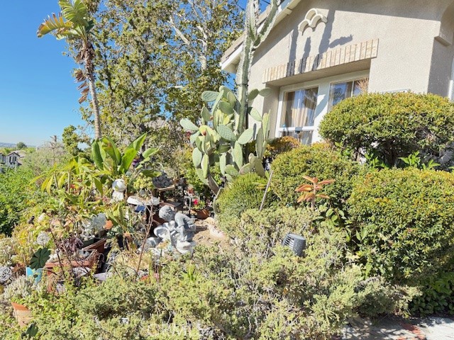 MLS #SW25271207 image #28