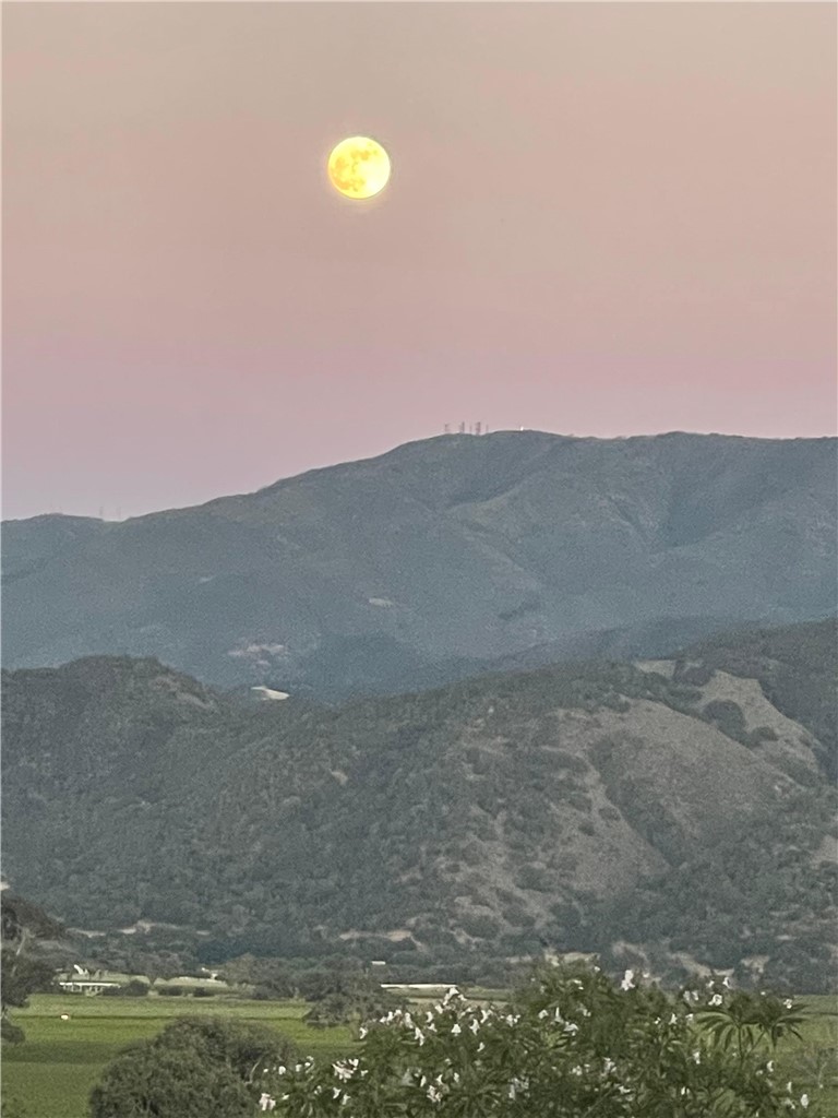 MLS #SW25271232 image #17