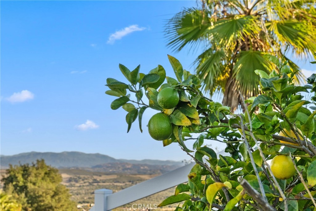 MLS #SW25271958 image #54