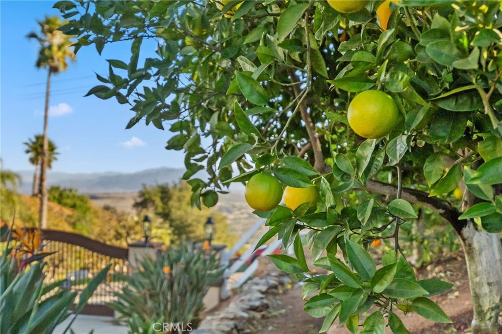 MLS #SW25271958 image #55