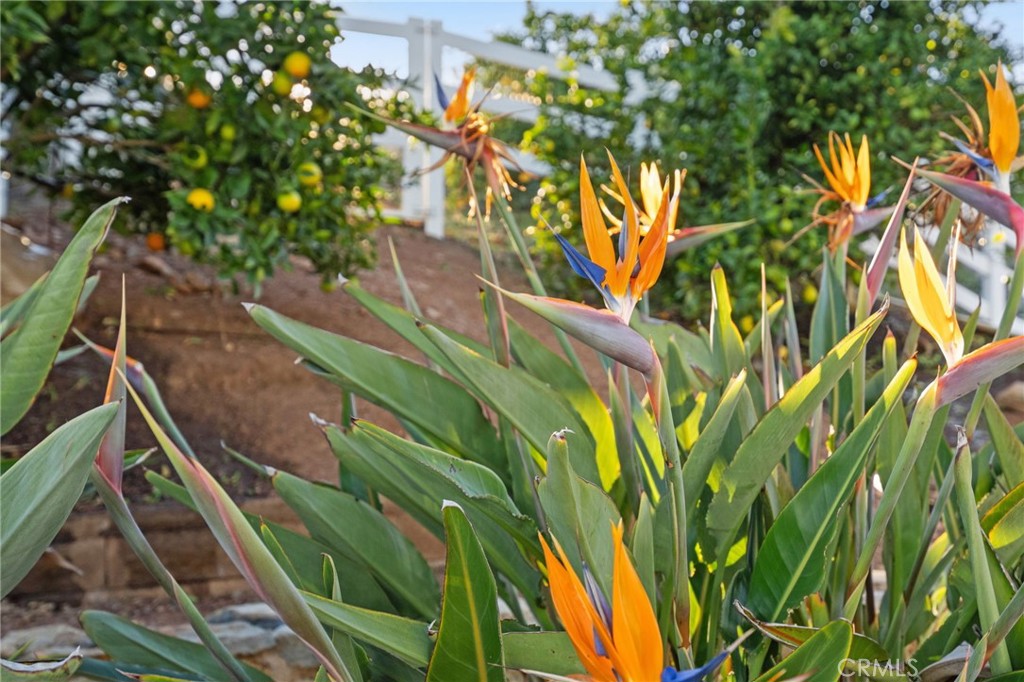 MLS #SW25271958 image #56