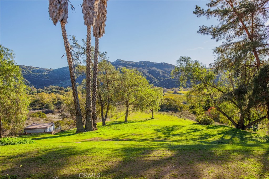 MLS #SW25272004 image #42