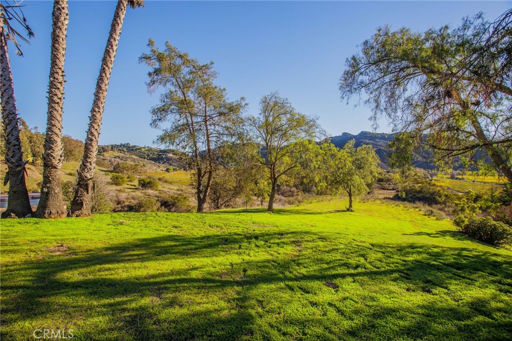 MLS #SW25272004 image #50