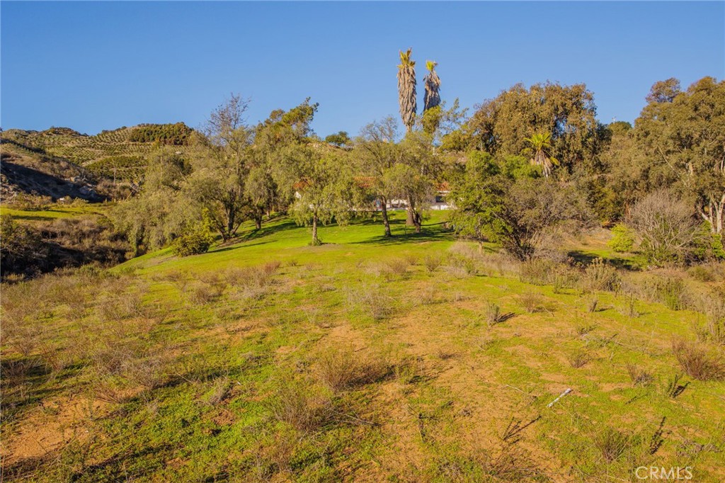 MLS #SW25272004 image #53