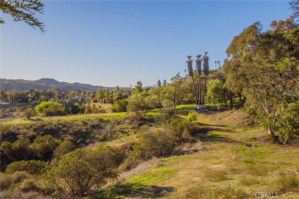 MLS #SW25272004 image #56