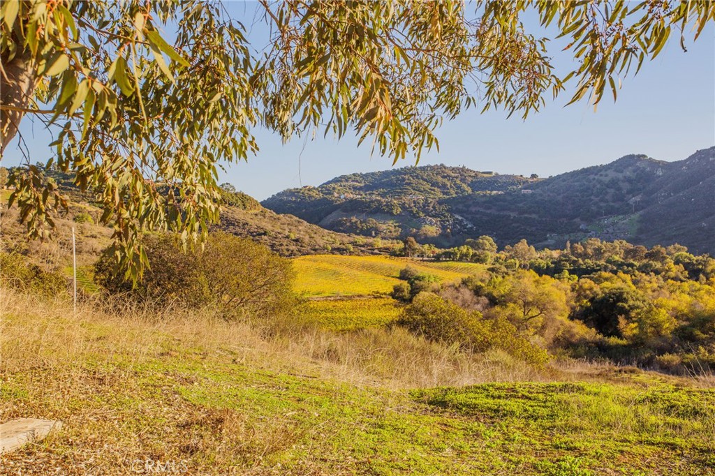 MLS #SW25272004 image #59