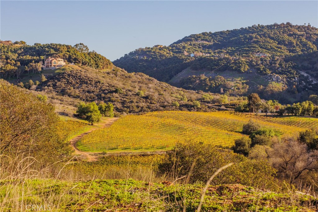 MLS #SW25272004 image #60