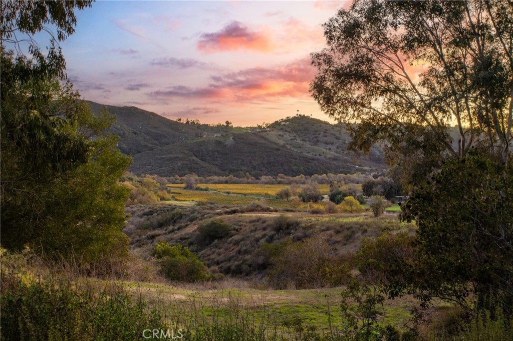 MLS #SW25272004 image #7