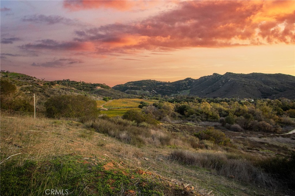 MLS #SW25272004 image #8