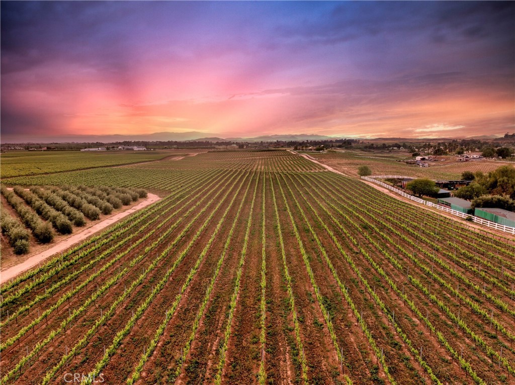 MLS #SW25272999 image #1