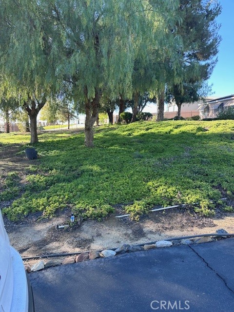 MLS #SW25273440 image #12