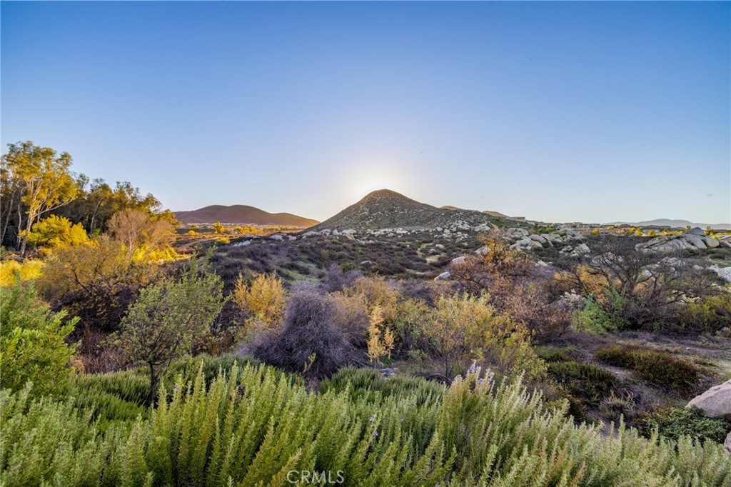 MLS #SW25273487 image #58