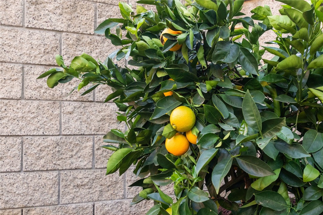 MLS #SW25273625 image #59