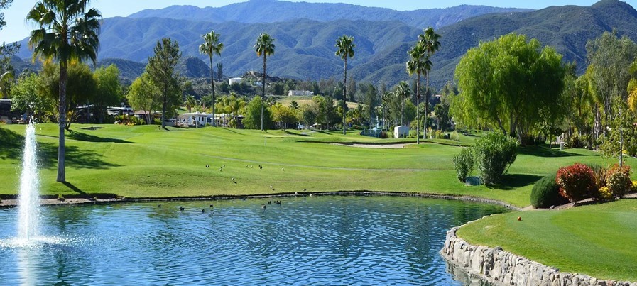 MLS #SW25274583 image #0