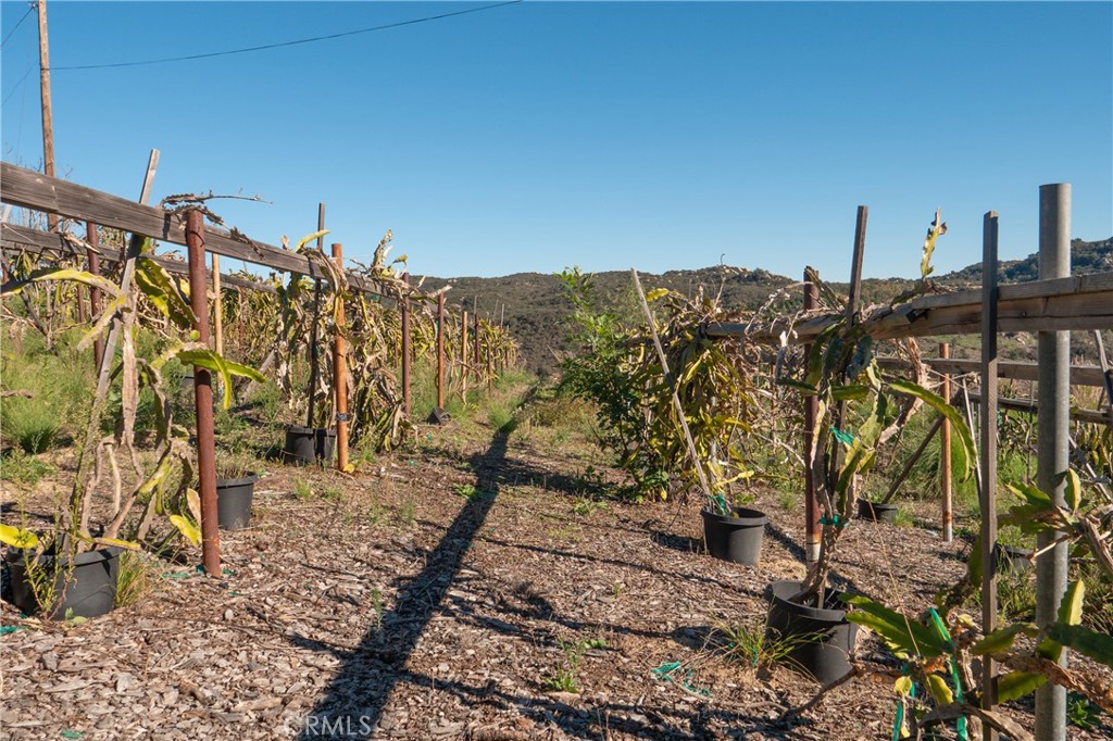 MLS #SW25274653 image #23