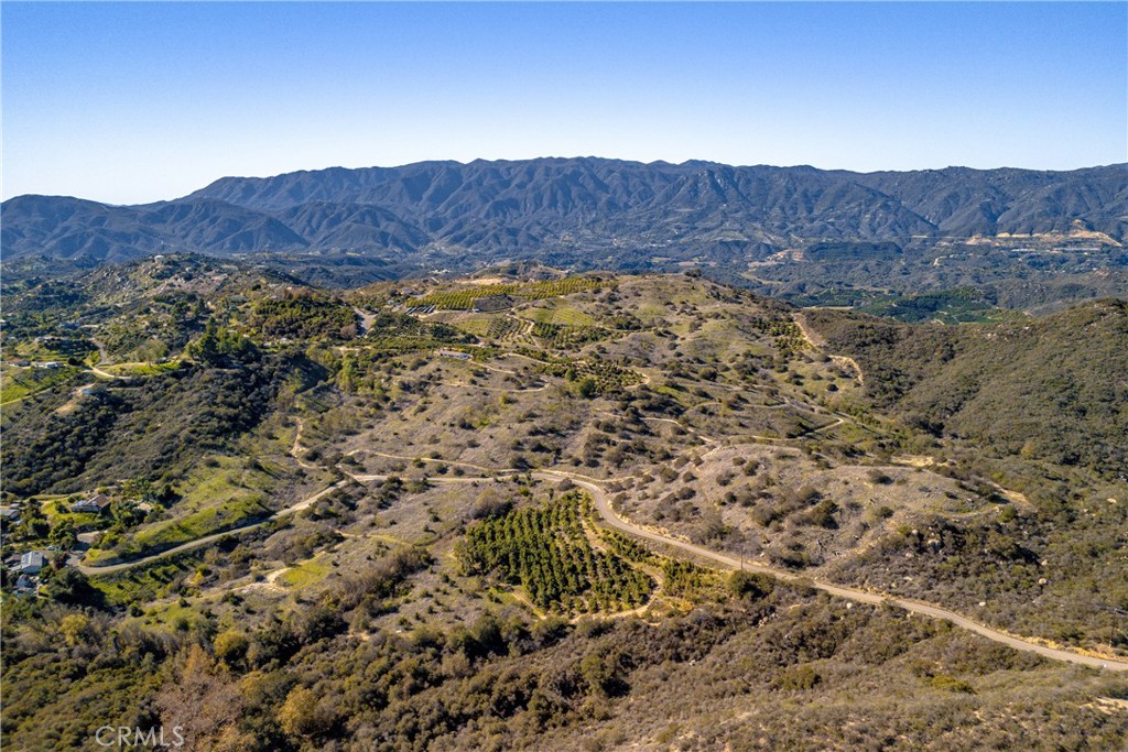 MLS #SW25274653 image #26