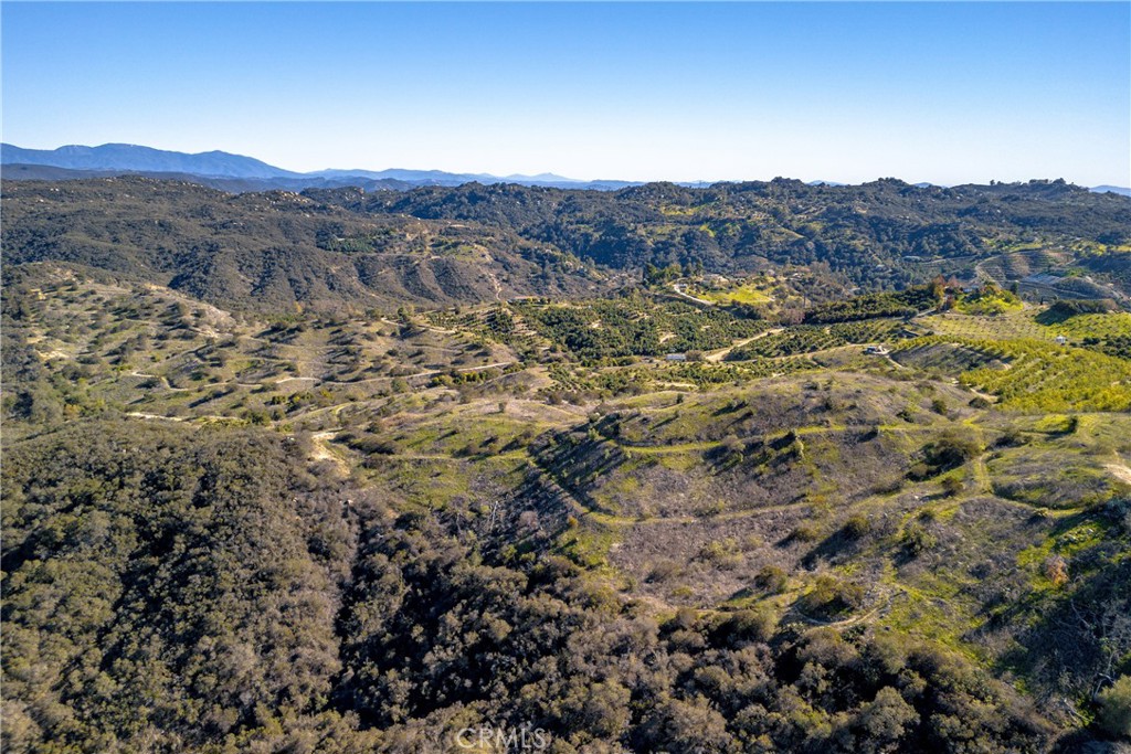 MLS #SW25274653 image #30