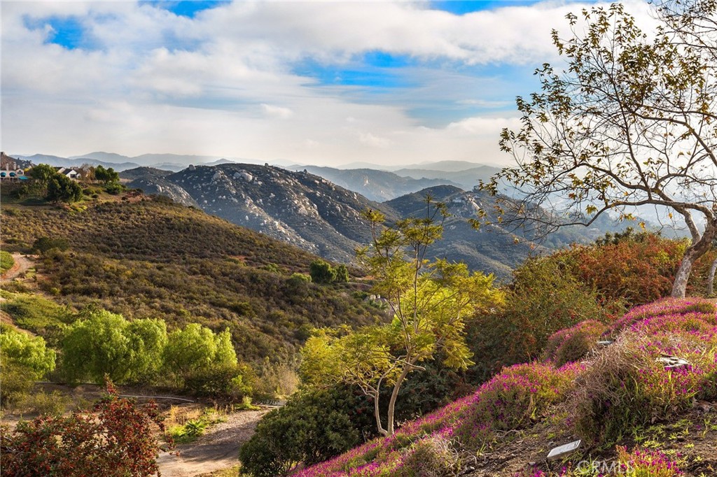 MLS #SW25277021 image #47