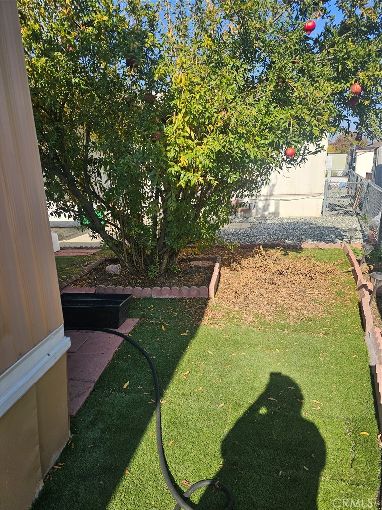 MLS #SW25279222 image #9