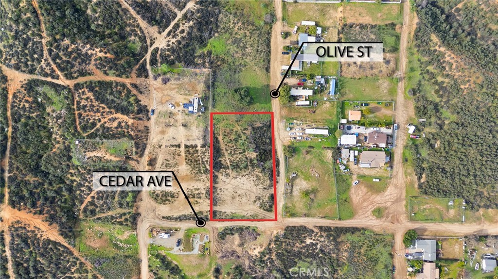 MLS #SW26001657 image #11