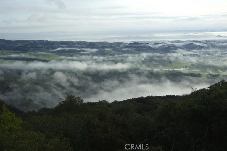 MLS #TR24189837 image #30