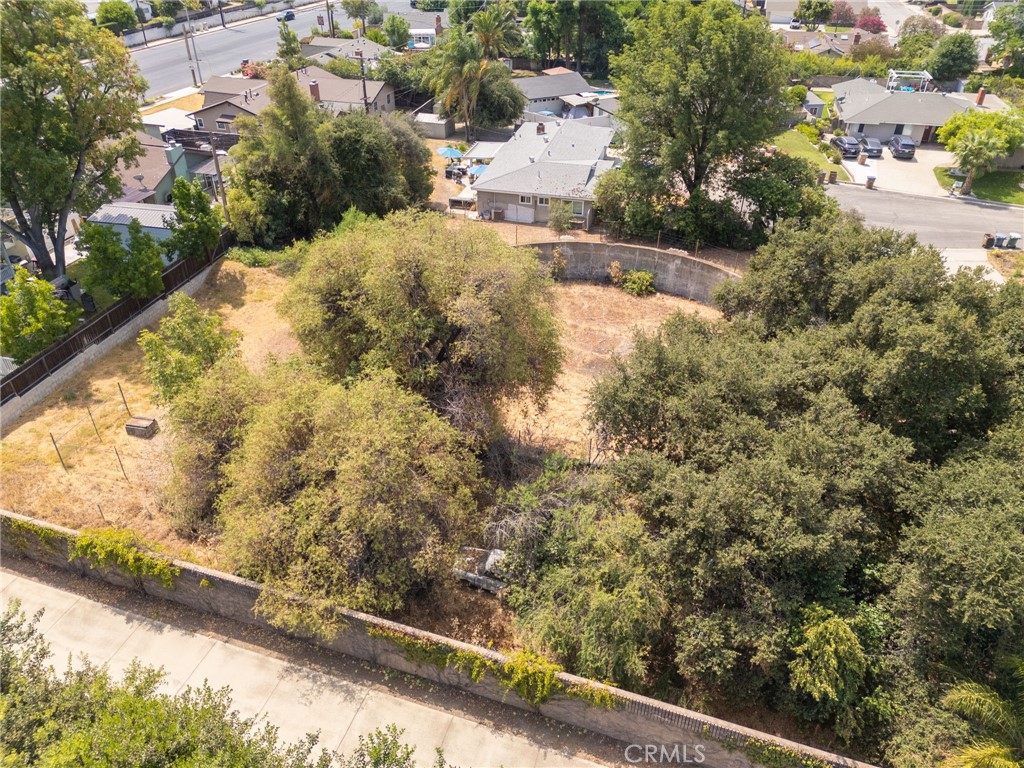 MLS #TR25006435 image #5