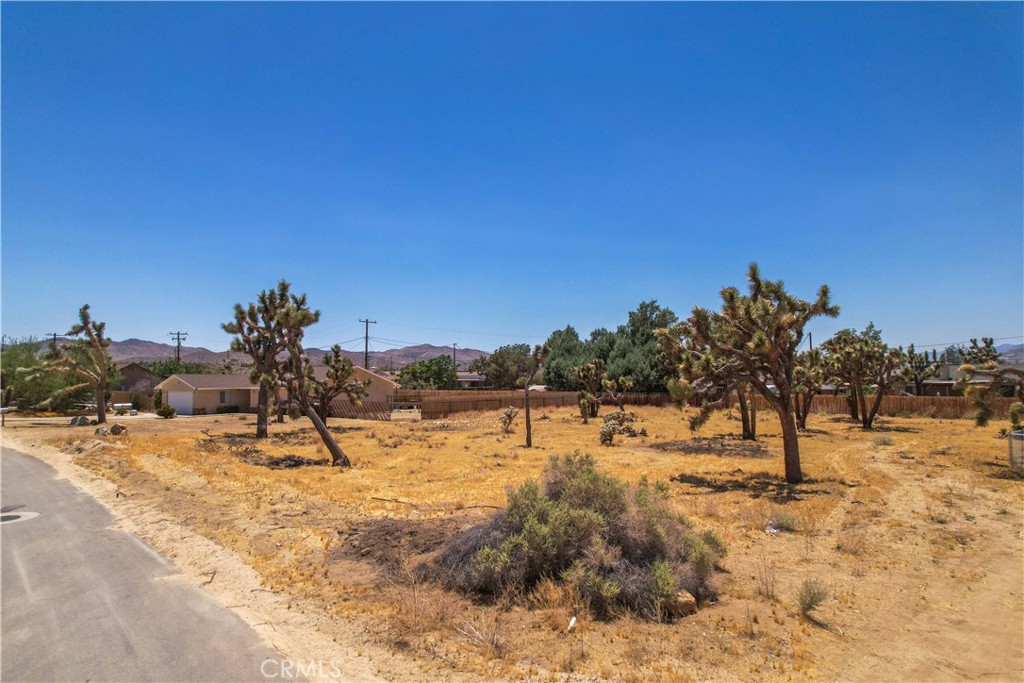 MLS #TR25036135 image #10