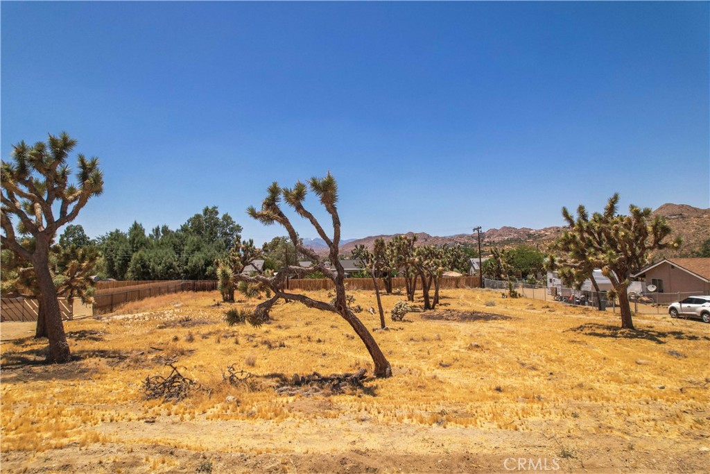 MLS #TR25036135 image #11