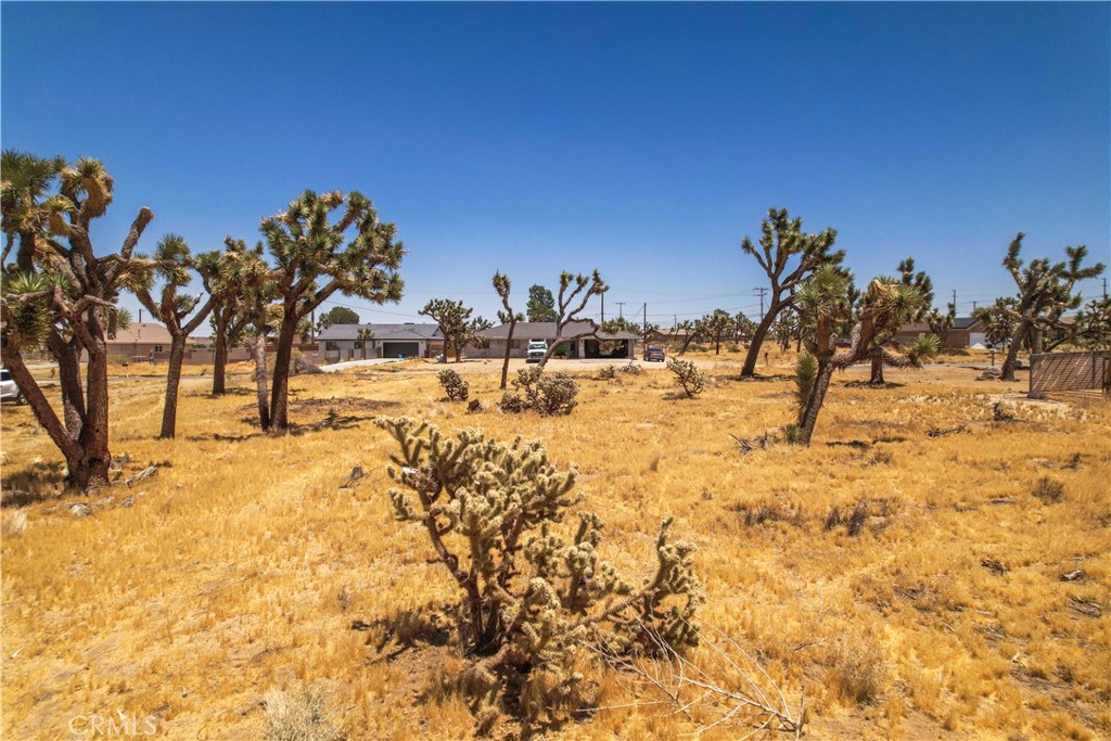 MLS #TR25036135 image #14