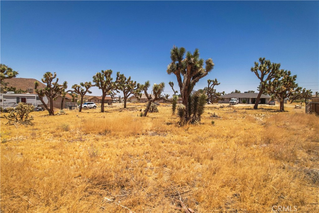 MLS #TR25036135 image #15