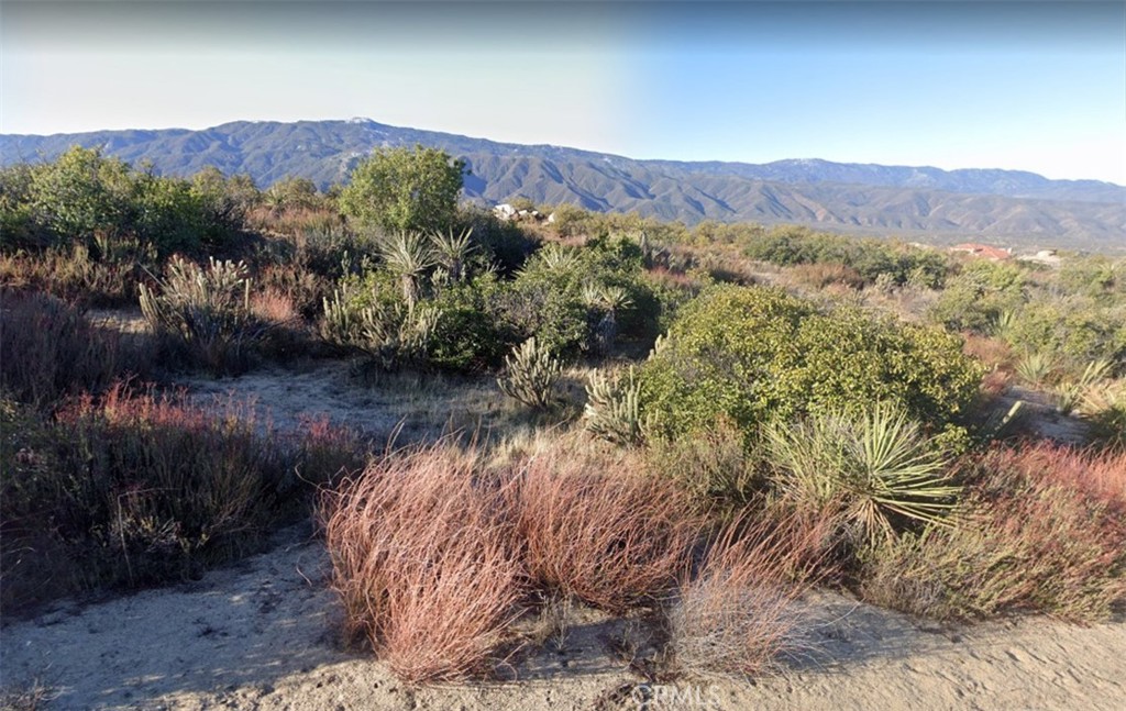 MLS #TR25047522 image #1