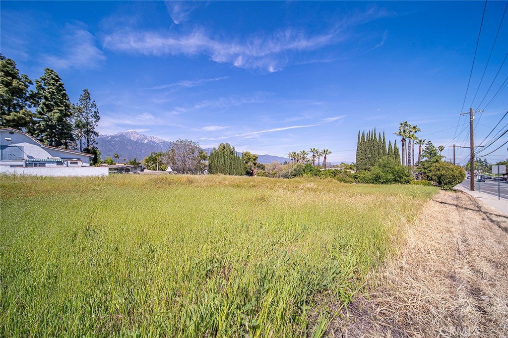 MLS #TR25047620 image #4