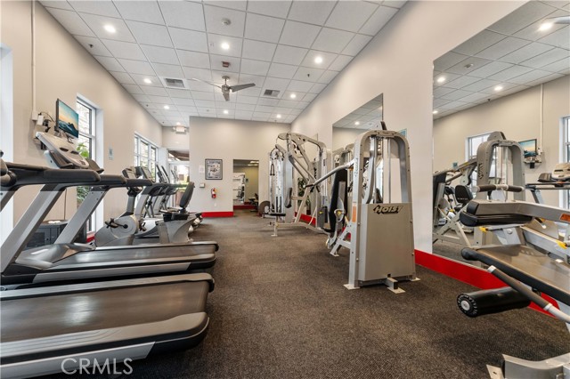 MLS #TR25063845 image #25