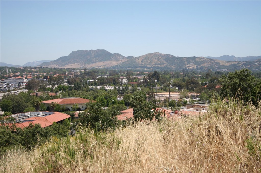 MLS #TR25071634 image #2