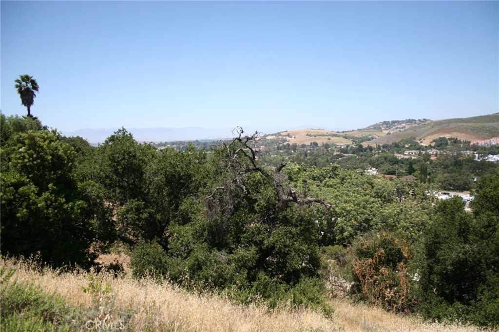 MLS #TR25071634 image #6