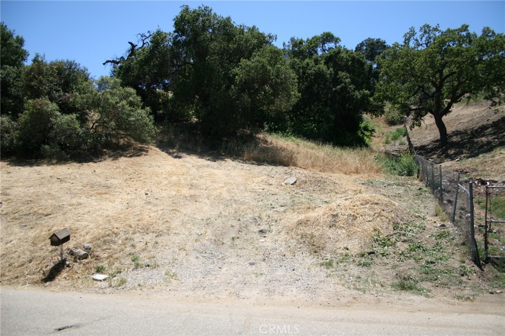 MLS #TR25071634 image #8