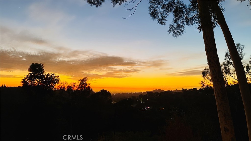 MLS #TR25082634 image #11