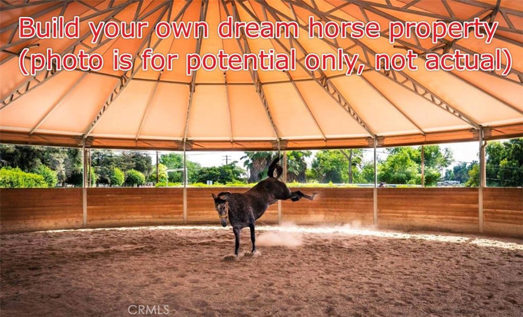 MLS #TR25089048 image #43