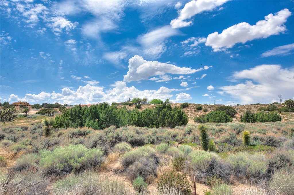 MLS #TR25100732 image #13