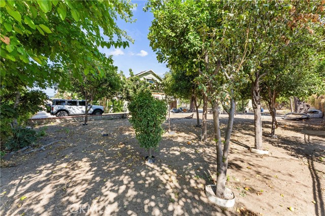 MLS #TR25102360 image #13