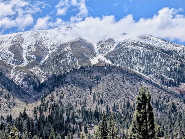 MLS #TR25114305 image #0